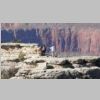 Grand_Canyon-11.jpg